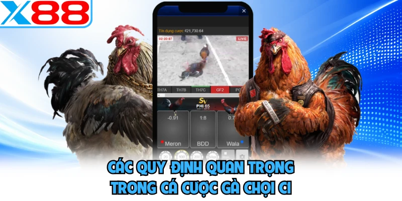 Các quy định quan trọng trong cá cược gà chọi C1