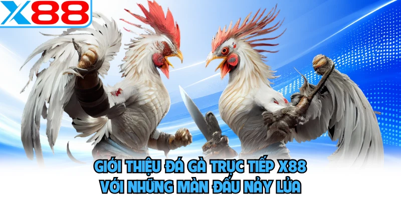 Giới thiệu đá gà trực tiếp X88 với những màn đấu nảy lửa