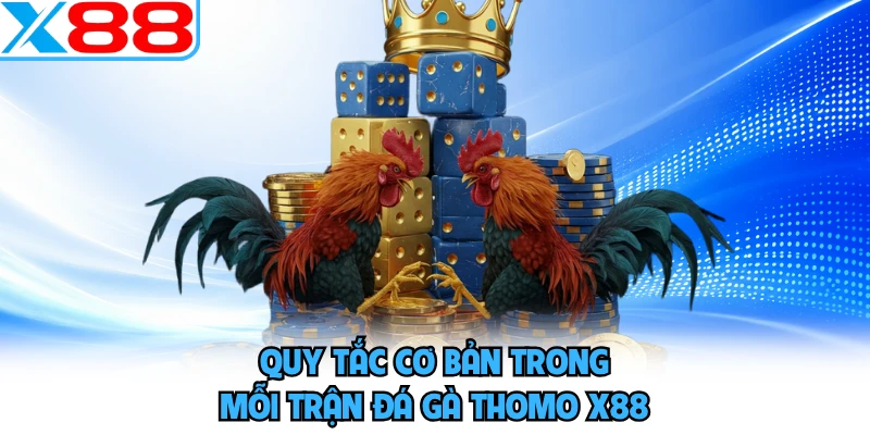Quy tắc cơ bản trong mỗi trận đá gà Thomo X88